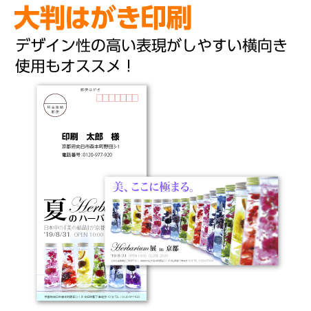 大判はがき印刷