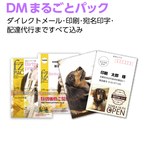 DMまるごとパック