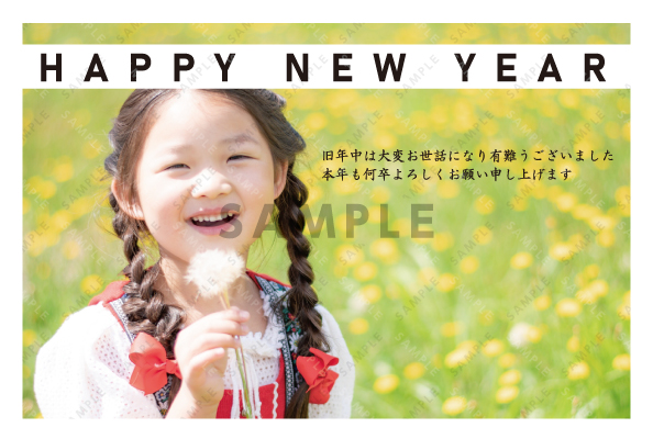 デザイン GYPH228