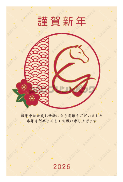 デザイン PTPO6620