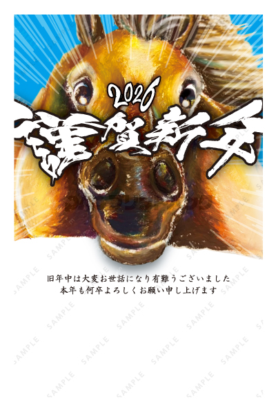 デザイン PTPO6677