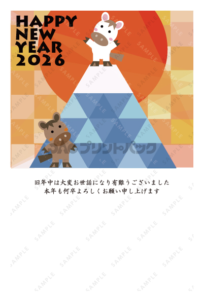 デザイン PTPO6709