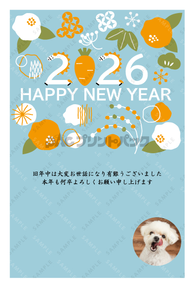 デザイン PTPO6915