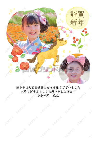 デザイン PTPO6916