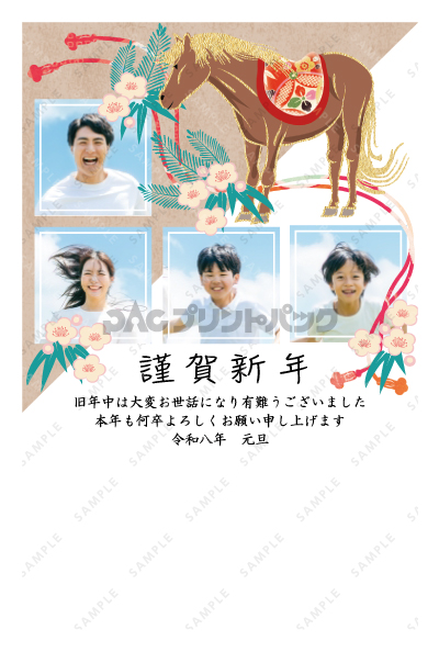 デザイン PTPO6917