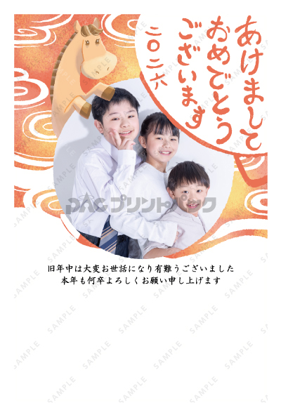 デザイン PTPO6919