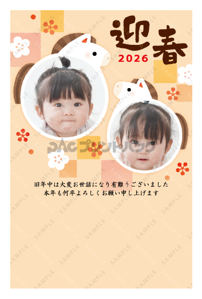 デザイン PTPO6929