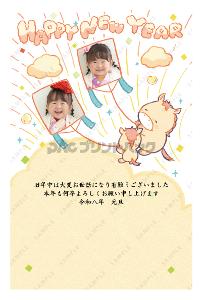 デザイン PTPO6934