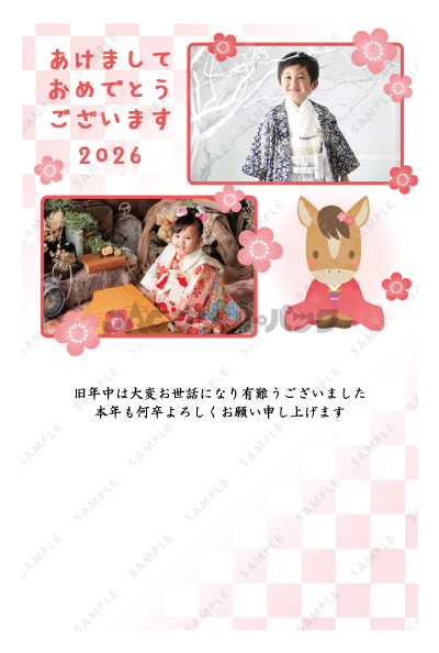 デザイン PTPO6975