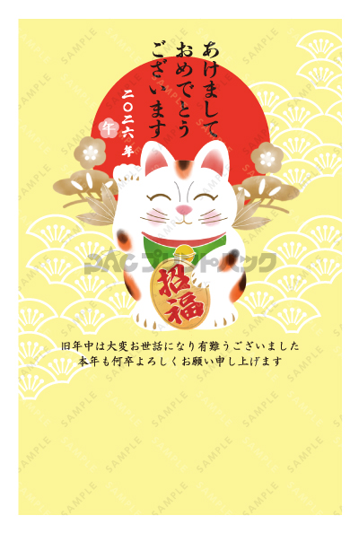 デザイン PTPO7008