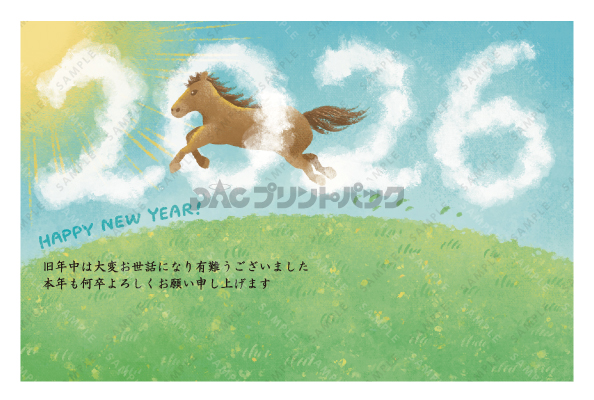 デザイン PYPO2062