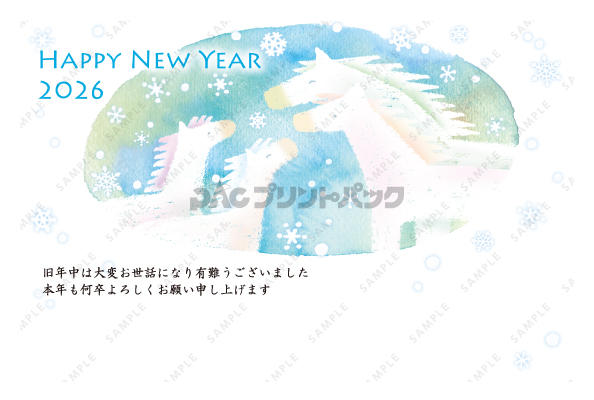 デザイン PYPO2070