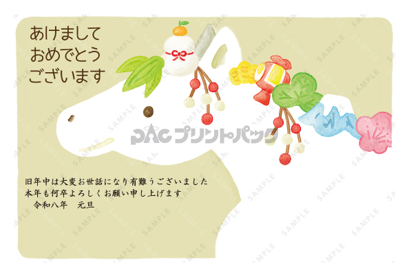 デザイン PYPO2091