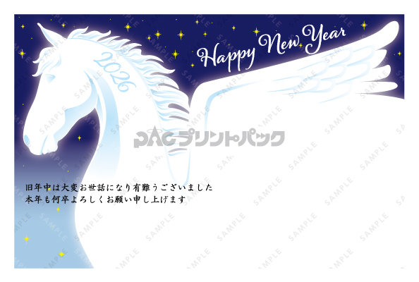 デザイン PYPO2113